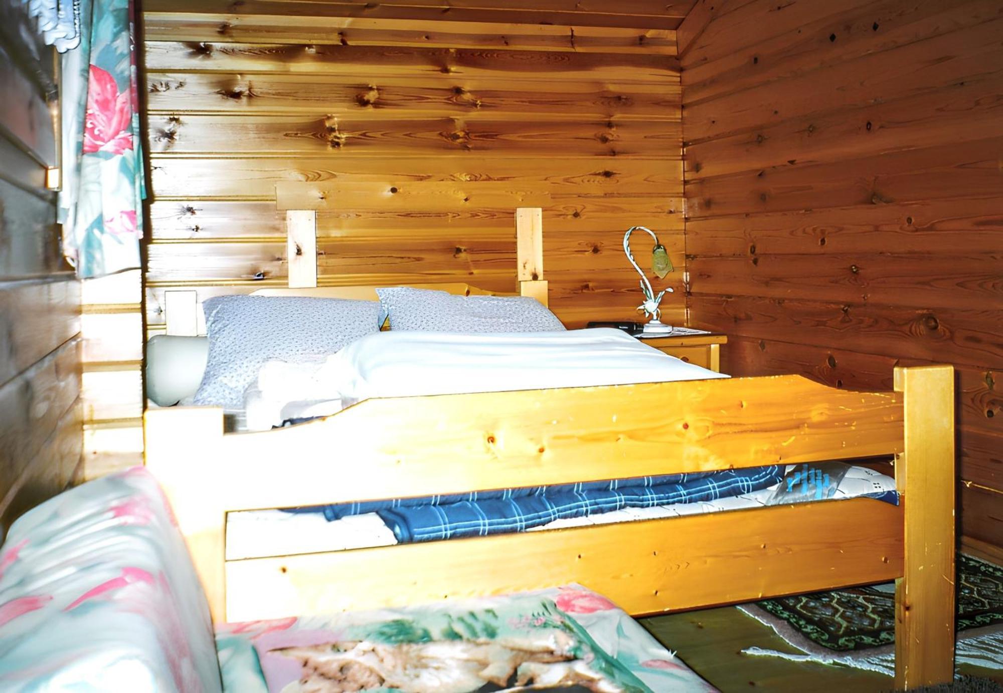 Chalet Cosy A Sixt-Fer-A-Cheval Avec Vue Sur La Montagne 外观 照片